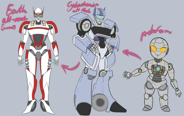 different life stages